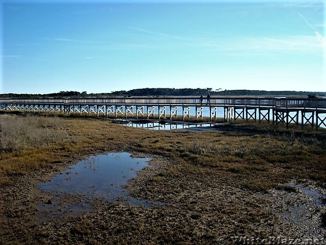 Assateague Island National Seashore: Life of the Marsh Trail