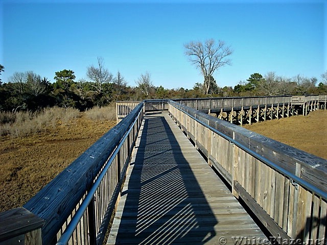 Assateague Island National Seashore: Life of the Marsh Trail