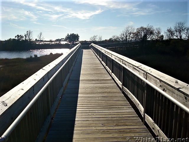 Assateague Island National Seashore: Life of the Marsh Trail