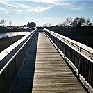 Assateague Island National Seashore: Life of the Marsh Trail