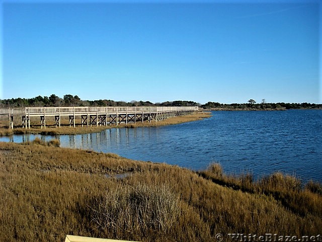 Assateague Island National Seashore: Life of the Marsh Trail