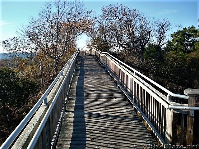 Assateague Island National Seashore: Life of the Marsh Trail