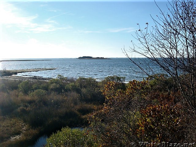 Assateague Island National Seashore: Life of the Marsh Trail