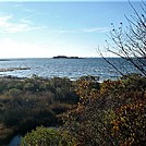 Assateague Island National Seashore: Life of the Marsh Trail