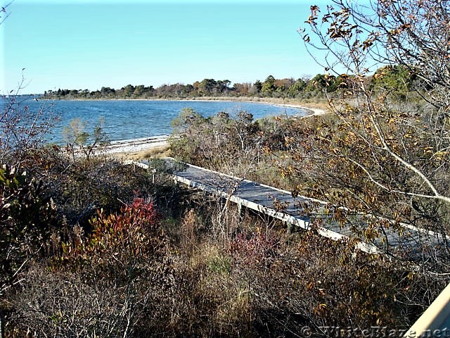 Assateague Island National Seashore: Life of the Marsh Trail