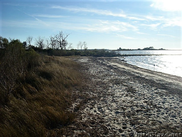 Assateague Island National Seashore: Life of the Marsh Trail