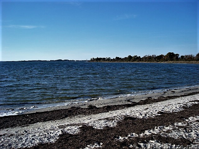 Assateague Island National Seashore: Life of the Marsh Trail