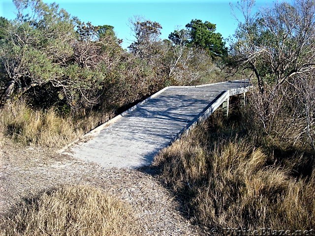 Assateague Island National Seashore: Life of the Marsh Trail