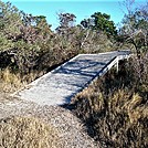 Assateague Island National Seashore: Life of the Marsh Trail