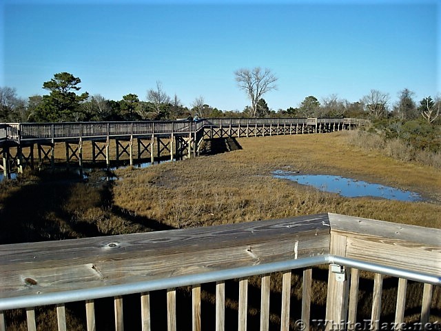 Assateague Island National Seashore: Life of the Marsh Trail