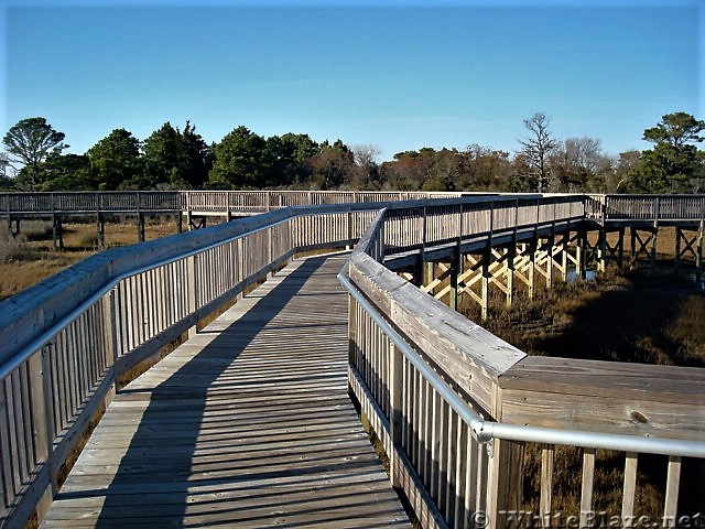 Assateague Island National Seashore: Life of the Marsh Trail