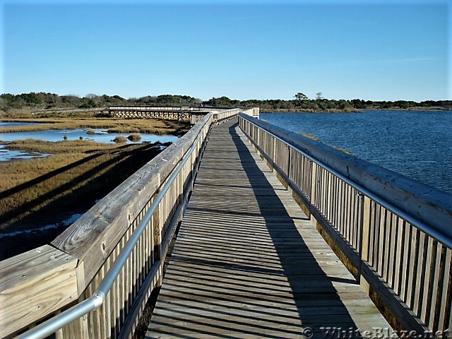 Assateague Island National Seashore: Life of the Marsh Trail