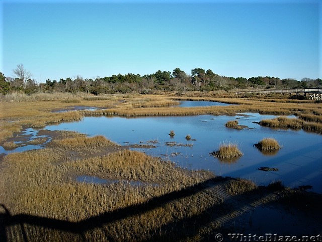 Assateague Island National Seashore: Life of the Marsh Trail