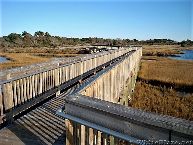 Assateague Island National Seashore: Life of the Marsh Trail