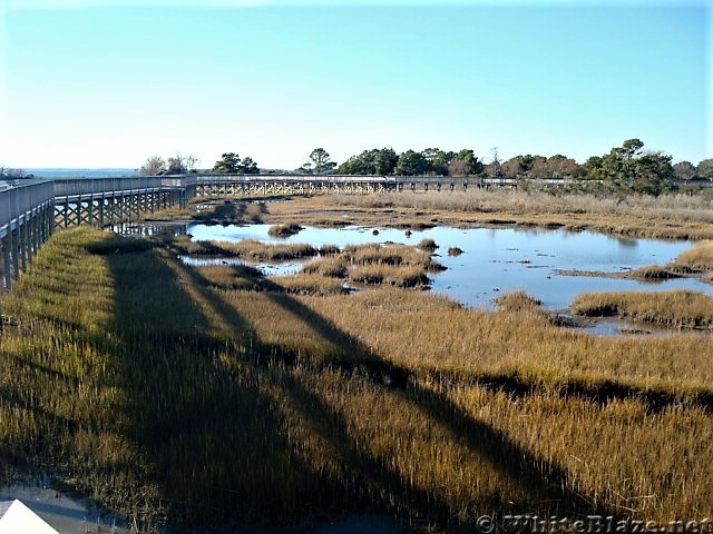 Assateague Island National Seashore: Life of the Marsh Trail