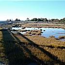 Assateague Island National Seashore: Life of the Marsh Trail