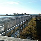 Assateague Island National Seashore: Life of the Marsh Trail