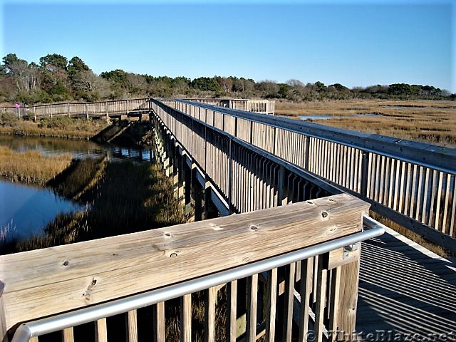 Assateague Island National Seashore: Life of the Marsh Trail