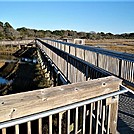 Assateague Island National Seashore: Life of the Marsh Trail by Irish Eddy in Other Trails