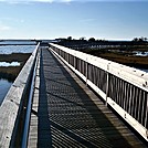 Assateague Island National Seashore: Life of the Marsh Trail