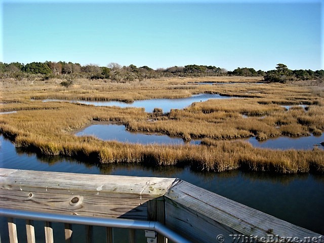 Assateague Island National Seashore: Life of the Marsh Trail