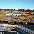 Assateague Island National Seashore: Life of the Marsh Trail