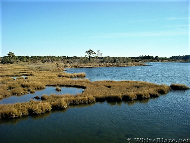 Assateague Island National Seashore: Life of the Marsh Trail