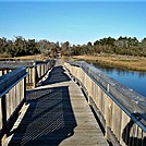 Assateague Island National Seashore: Life of the Marsh Trail by Irish Eddy in Other Trails