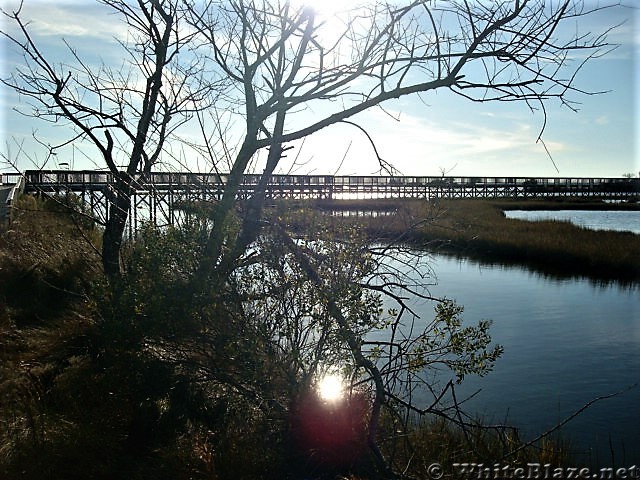 Assateague Island National Seashore: Life of the Marsh Trail