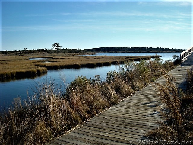 Assateague Island National Seashore: Life of the Marsh Trail