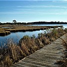 Assateague Island National Seashore: Life of the Marsh Trail