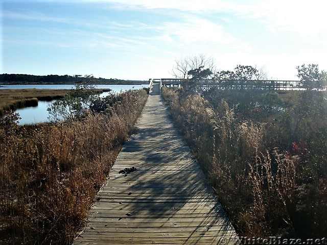 Assateague Island National Seashore: Life of the Marsh Trail