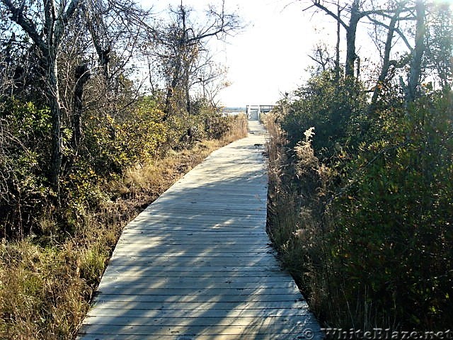 Assateague Island National Seashore: Life of the Marsh Trail