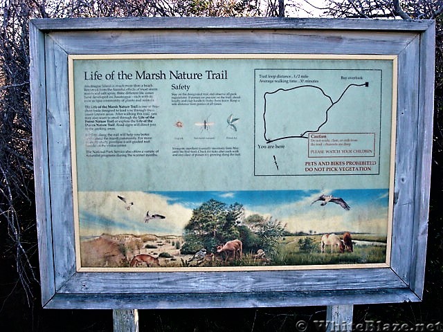 Assateague Island National Seashore: Life of the Marsh Trail