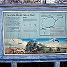 Assateague Island National Seashore: Life of the Marsh Trail by Irish Eddy in Other Trails