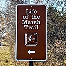 Assateague Island National Seashore: Life of the Marsh Trail