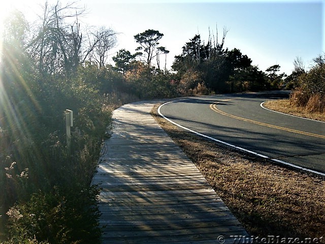 Assateague Island National Seashore: Life of the Marsh Trail