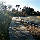 Assateague Island National Seashore: Life of the Marsh Trail