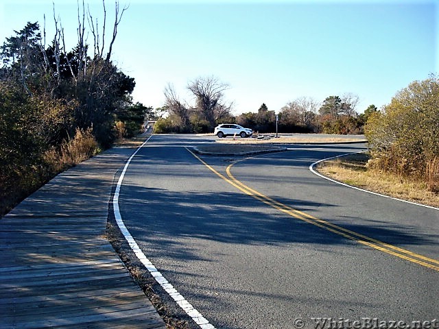 Assateague Island National Seashore: Life of the Marsh Trail