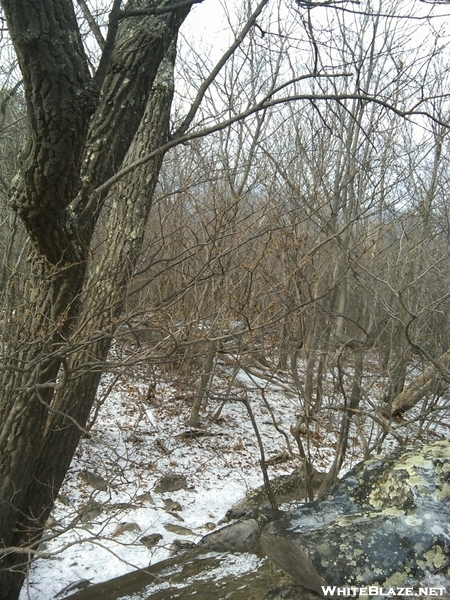 Near Wilson Gao, Wv, 01/17/09