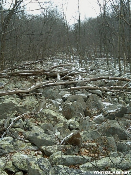 Devil's Racecourse, Wv, 01/17/09