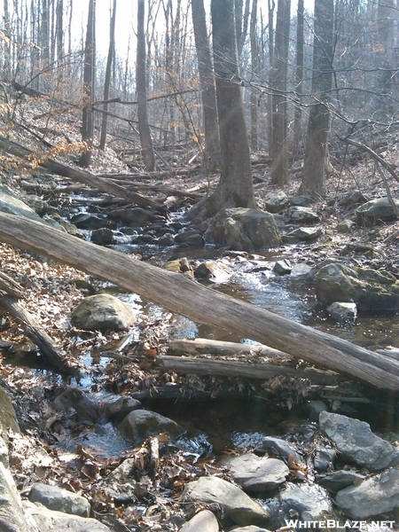 Stream Crossing At Bears Den Rocks, Va, 02/14/09