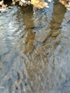 Crossing At Spout Run, Va, 02/14/09 by Irish Eddy in Views in Virginia & West Virginia