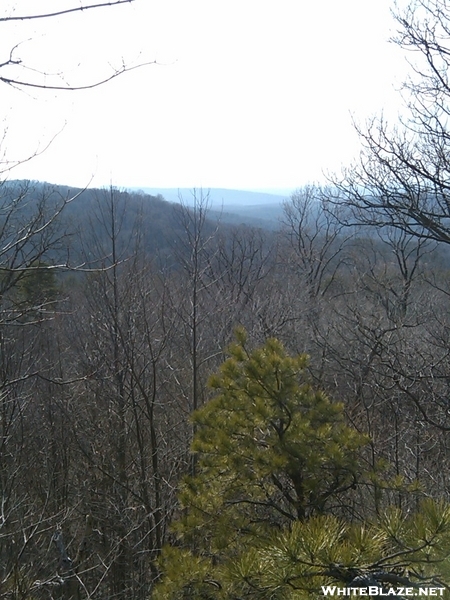 Near Sam Moore Shelter, Va, 02/14/09