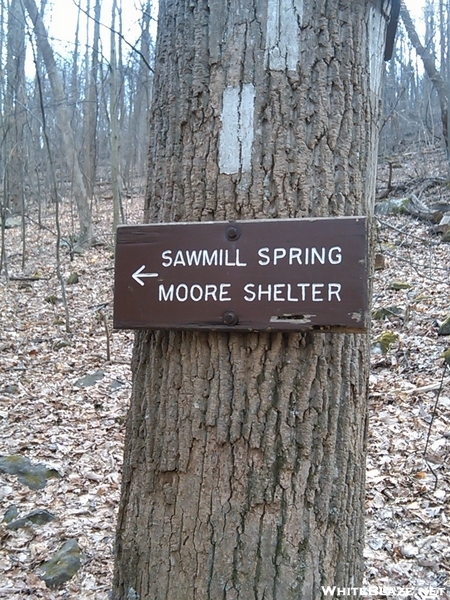 Near Sam Moore Shelter, Va, 02/14/09