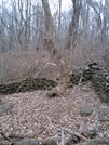 Buzzard Hill, Va, 02/14/09 by Irish Eddy in Views in Virginia & West Virginia