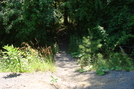 A. T. Crossing At Mont Alto Road, P A Rte. 233, P A 07/03/10 by Irish Eddy in Views in Maryland & Pennsylvania