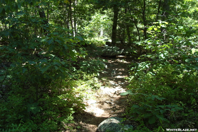 A. T. North Of Mont Alto Road, P A Rte. 233, P A, 07/03/10