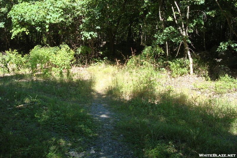 A. T. North Of Mont Alto Road, P A Rte. 233, P A, 07/03/10