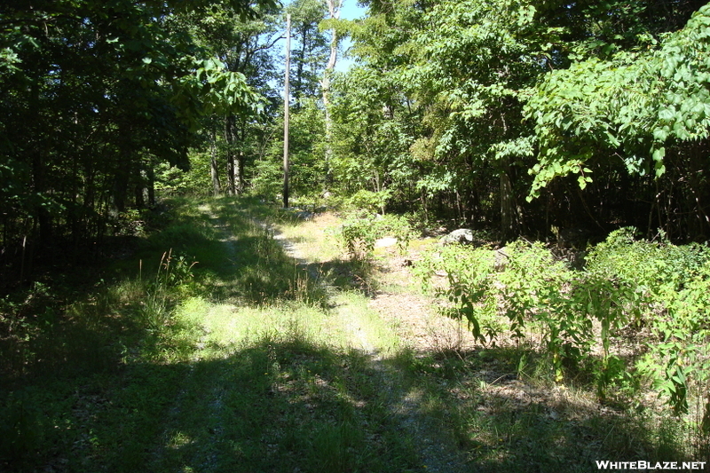 A. T. North Of Mont Alto Road, P A Rte. 233, P A, 07/03/10